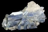 Vibrant Blue Kyanite Crystal Cluster - Brazil #97959-1